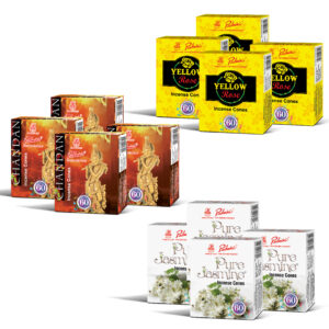 Padmini Festive Cone Combo - Pack of 12